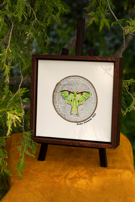 Quilled Luna Moth-2023